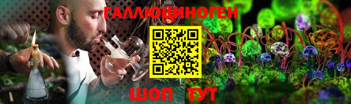 Галлюциногенные грибы Psilocybe Троицк