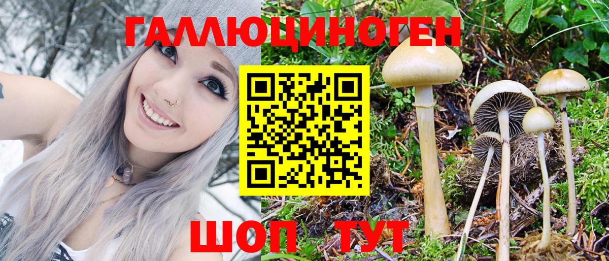 Галлюциногенные грибы ЛСД  Псилоцибиновые грибы Psilocybe  Троицк  Вход с VPN 